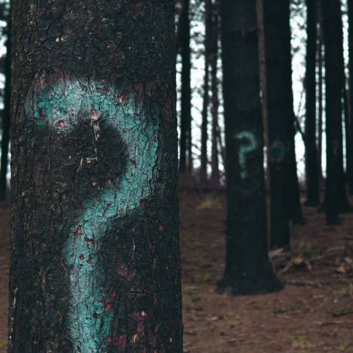 A Surprisingly FAQ: How Do You Pronounce Pardot?