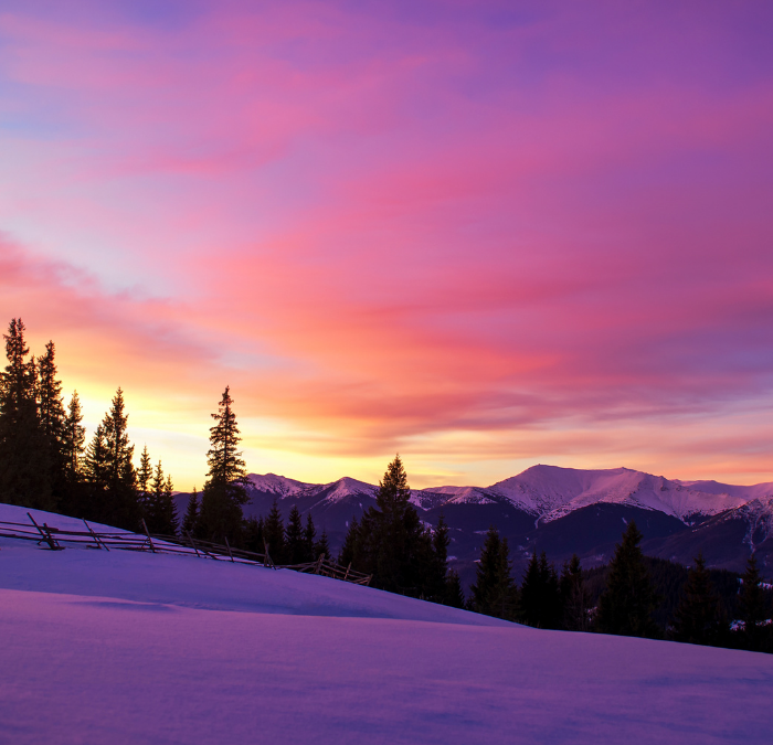 Four Big Salesforce Winter ‘22 Pardot Highlights